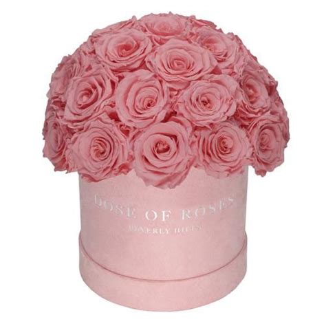 BEST SELLERS Rose Collection 